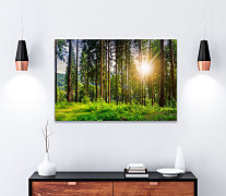 Obraz Prechádzka lesom 1617